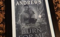 Burn For Me by Ilona Andrews | Review